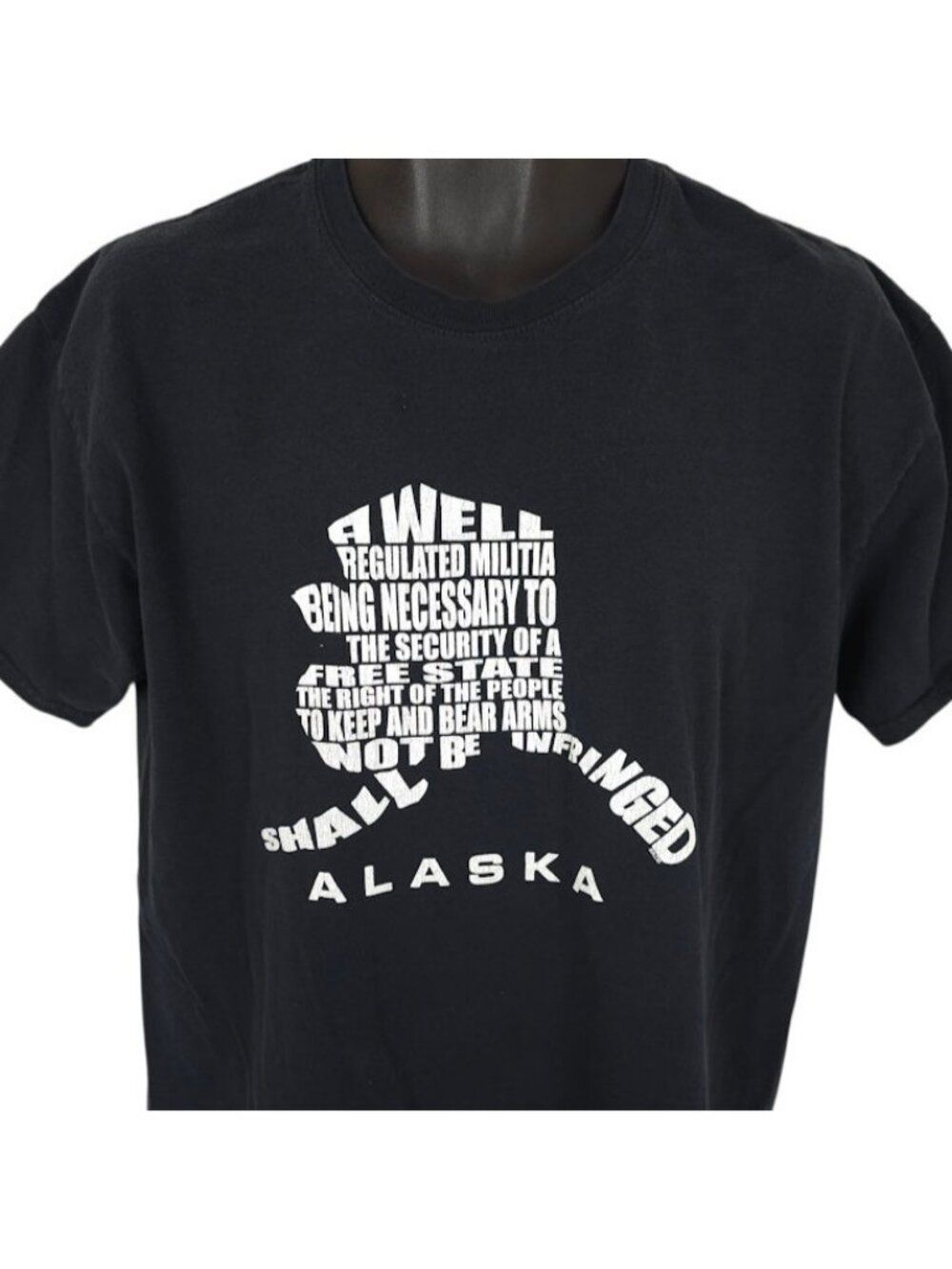 Alaska 2nd Amendment T Shirt Mens Size Large Black A Well Regulated Militia